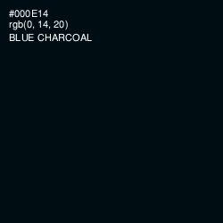 #000E14 - Blue Charcoal Color Image